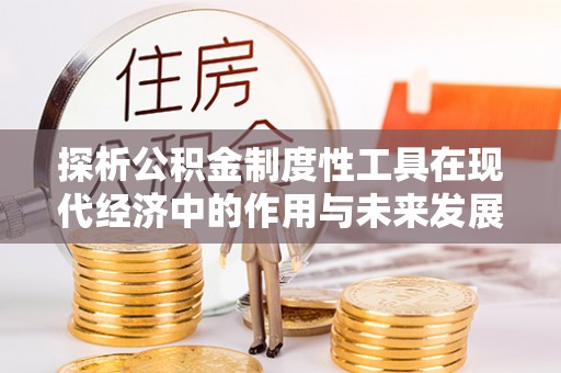 荷塘探析公积金制度性工具在现代经济中的作用与未来发展趋势