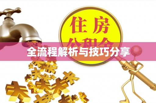 荷塘全流程解析与技巧分享